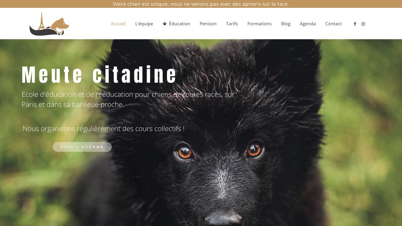 Capture du site de Meute Citadine — Marion Abeille