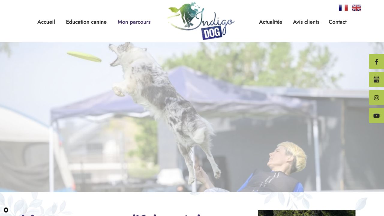 Capture du site de Indigo Dog — Aurélie Nuzillard