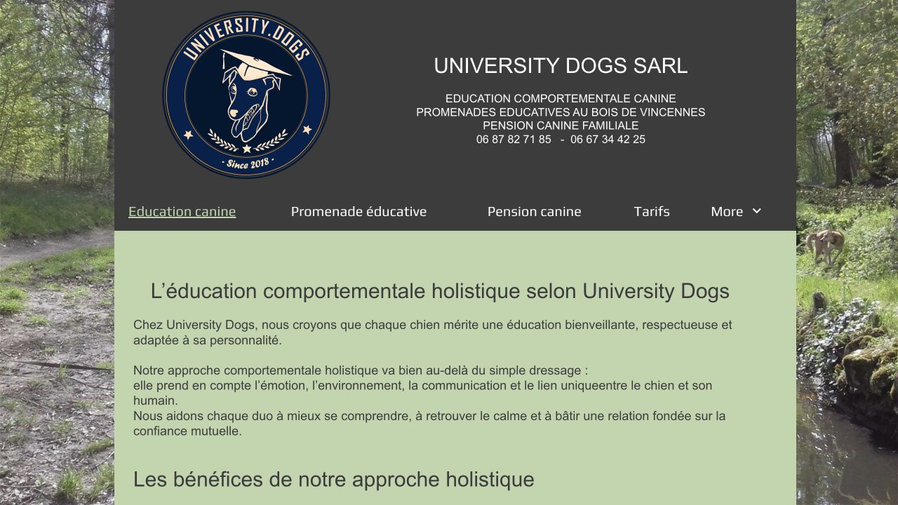 Capture du site de University Dogs