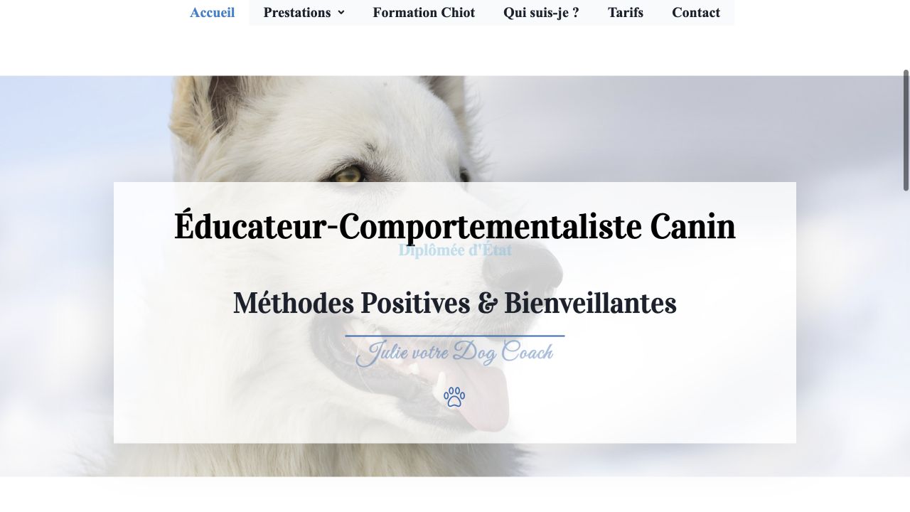 Capture du site de Dog Coach — Julie Sanchez