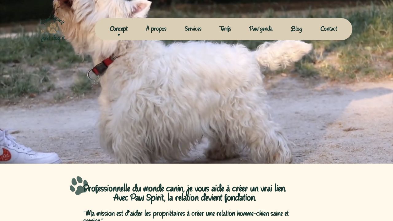 Capture du site de Paw Spirit — Leslie Beaumesnil